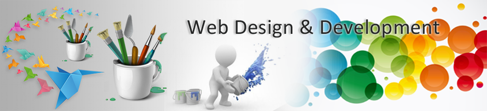 Website Design Development Ranchi